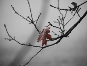 春节余韵犹存，游子踏上归途